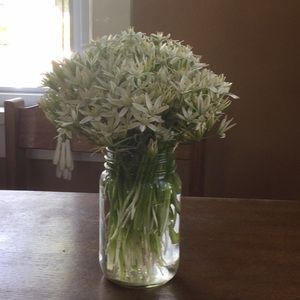 Meet your Posher, Phyllis